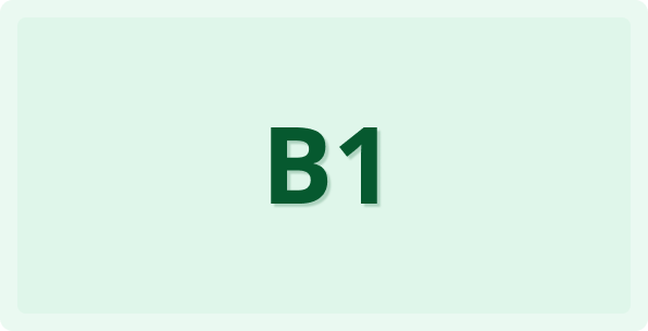 Intermediate Level